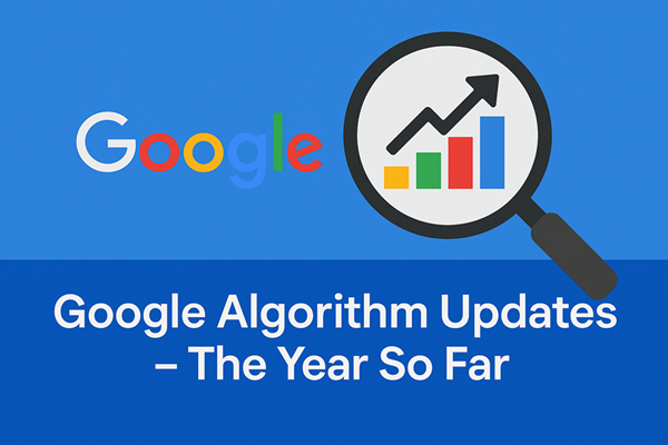 Google Algorithm Updates The Year So Far