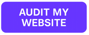 Audit My Website